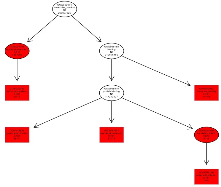 GO enrichment directed acyclic graph visualization